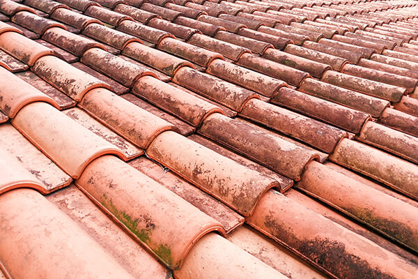 Roofing Tools to Stop Mold Infestation