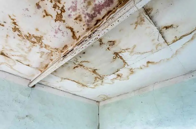 roof replacement reasons in Canton, OH