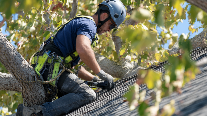 Expert Trimming Trees in Canton