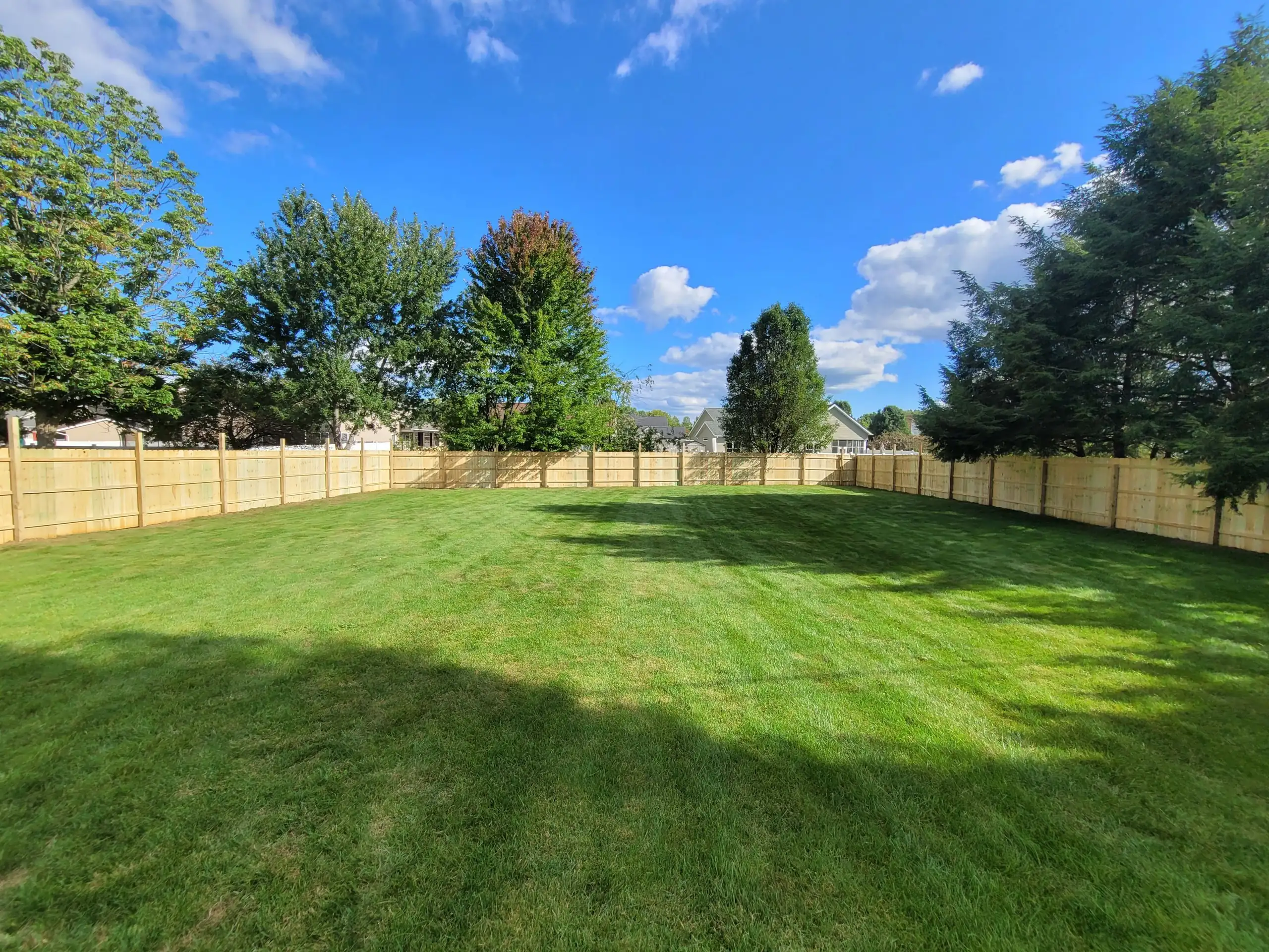 Manicured backyard with a new light wood privacy fence, green lawn and mature trees under a bright blue sky