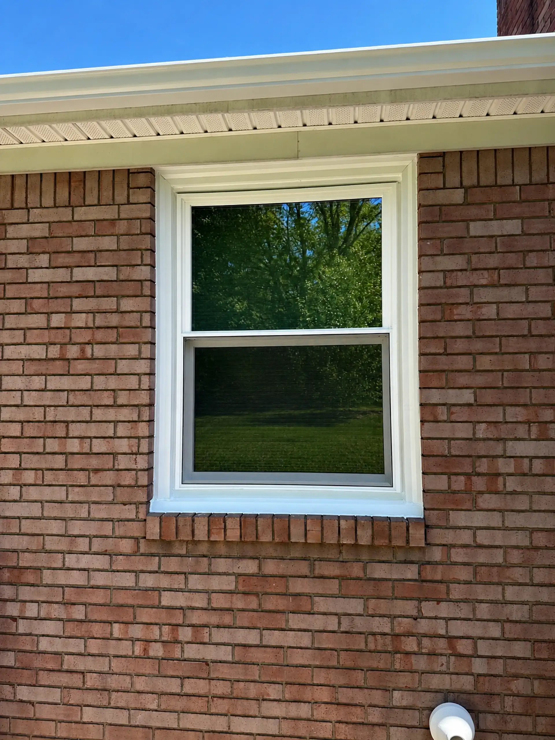 White-framed double-hung window set in red brick exterior with white soffit and eave trim, tree reflection in the glass